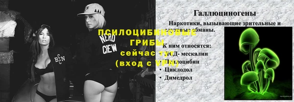 мет Новозыбков