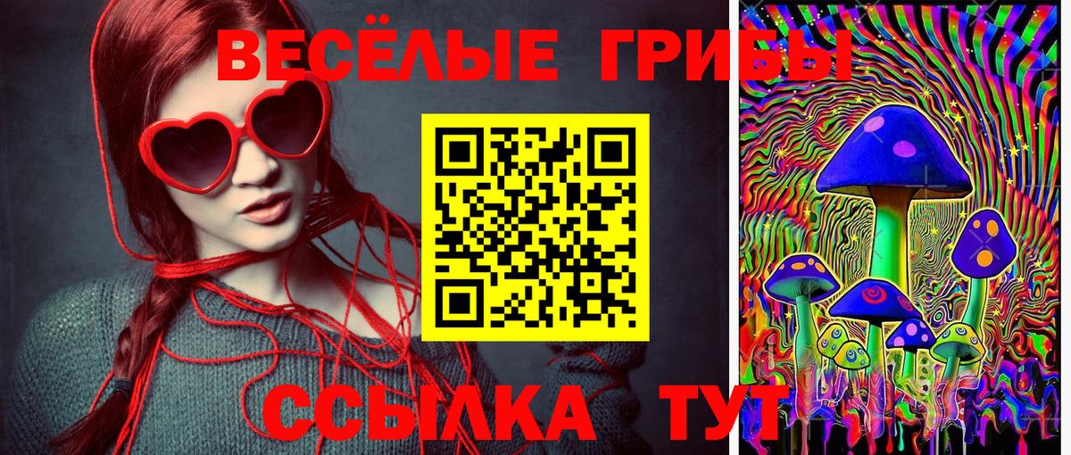 Лабытнанги  Псилоцибиновые грибы Psilocybe  Вход с VPN 
