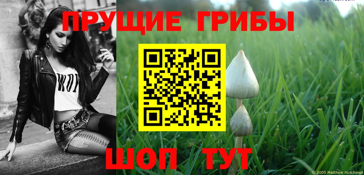 Псилоцибиновые грибы Psilocybine cubensis Лабытнанги