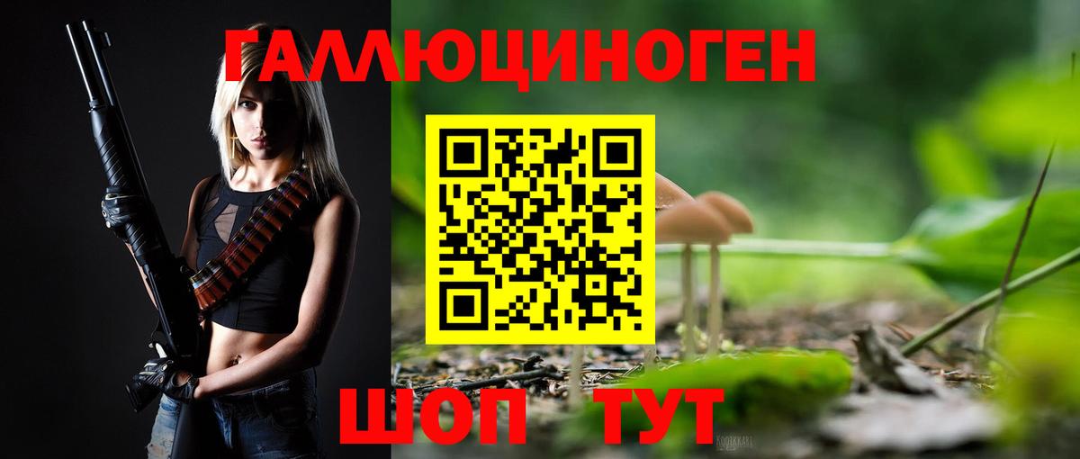 Псилоцибиновые грибы Psilocybine cubensis  Лабытнанги 