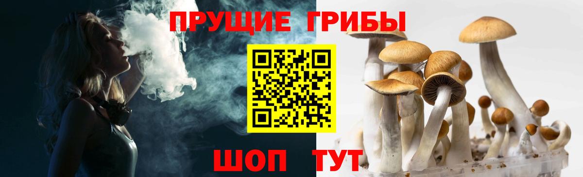 Псилоцибиновые грибы прущие грибы Лабытнанги