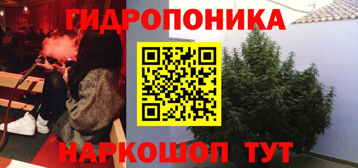 Бошки марихуана AK-47  МАРИХУАНА семена  Марихуана VHQ  Лабытнанги  Вход с VPN 