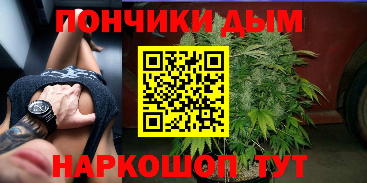 Конопля сатива  Лабытнанги  Шишки марихуана Bruce Banner  Марихуана план  Бошки марихуана индика 